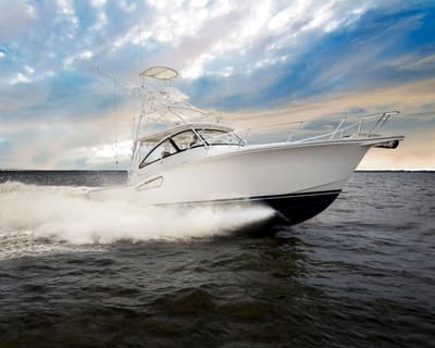 BOATZON | Albemarle 36 Express 2026 BOATZON | Albemarle 36 Express 2026