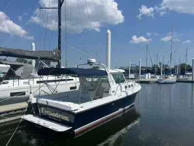 BOATZON | Albin 28 Tournament Express 2000