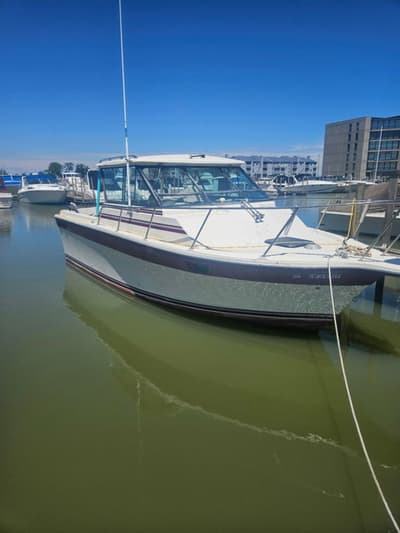 BOATZON | Baha 280 Sportfisher 1986