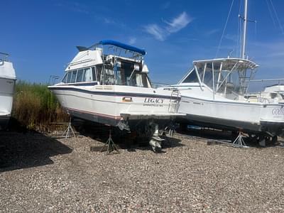 BOATZON | Bayliner 2855 Ciera Sunbridge 1985