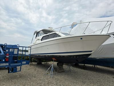 BOATZON | Bayliner 289 EC 2005