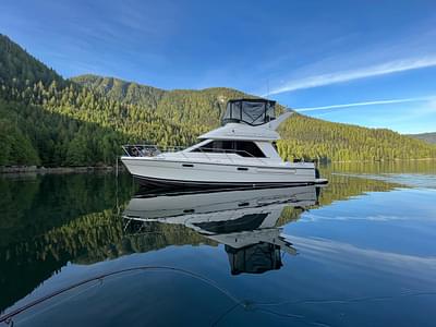 BOATZON | Bayliner 3388 Command Bridge Motoryacht 1999