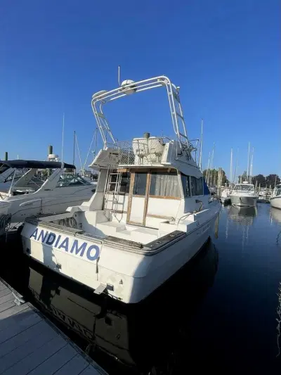 BOATZON | Bayliner 3460 1987