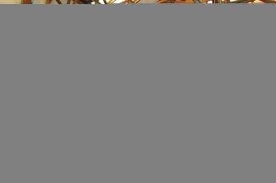 thumbail-icon