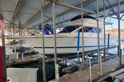 BOATZON | Bayliner Discovery 288 2007