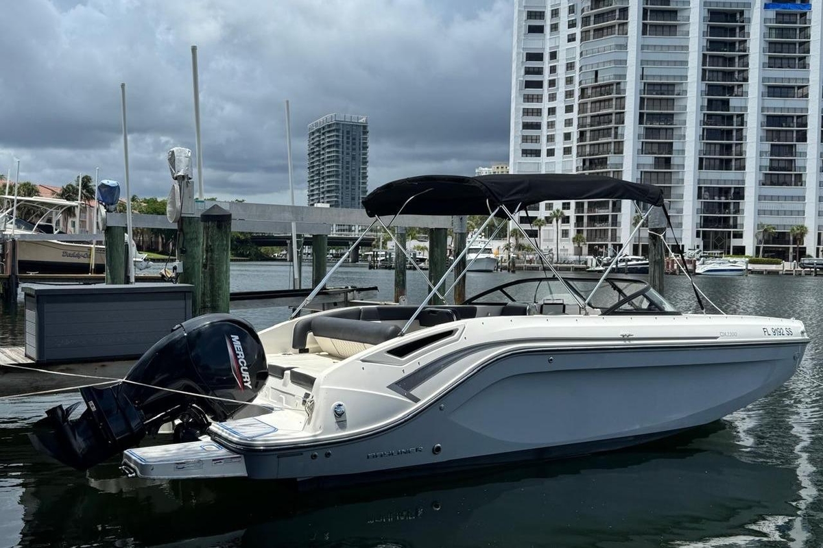 2020 Bayliner DX 2200 - Sold Boat