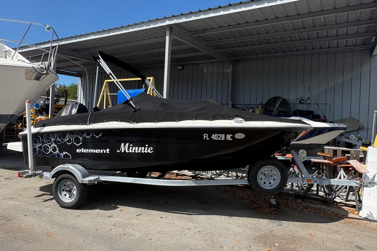 2016 Bayliner Element E16 - Sold Boat