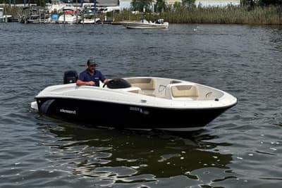 BOATZON | Bayliner Element E16 2017