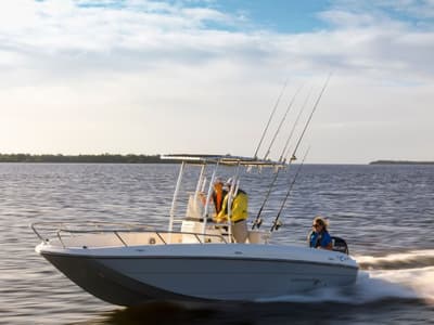 BOATZON | Bayliner Element F21 2017