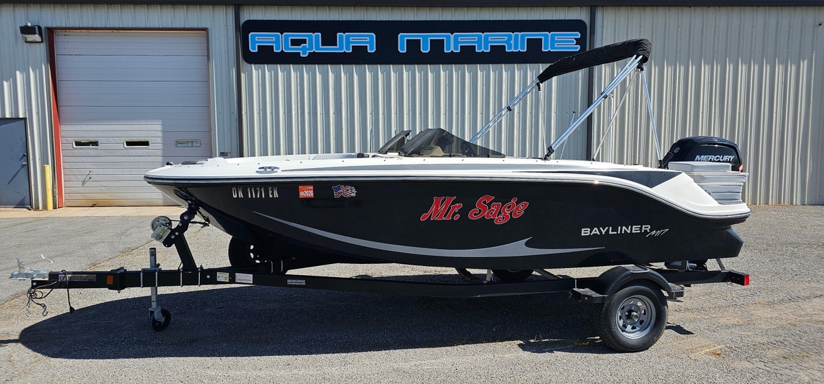 2024 Bayliner Element M17 - Sold Boat