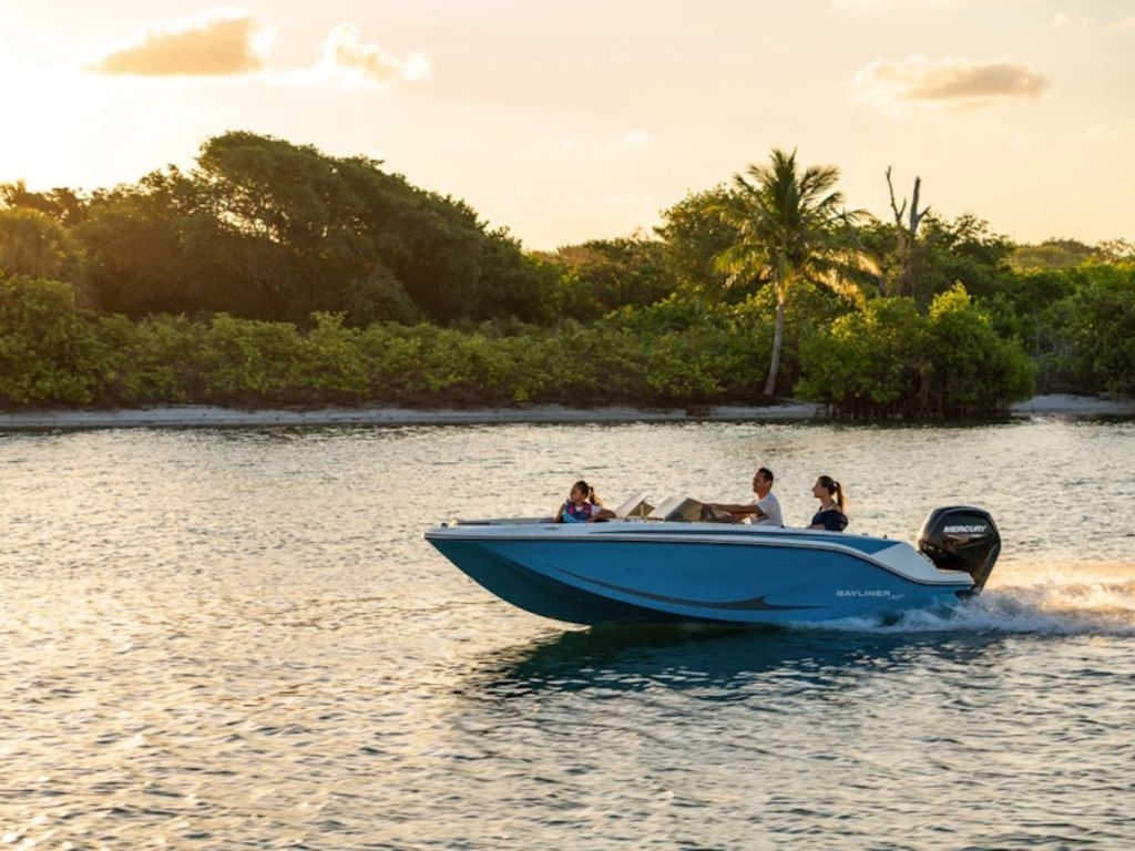 2026 Bayliner M17 - Sold Boat