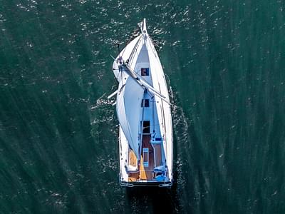 BOATZON | Beneteau Oceanis 341 2025 BOATZON | Beneteau Oceanis 341 2025