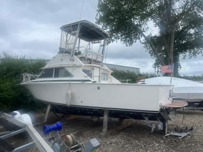 BOATZON | Bertram 28 Flybridge CRUISER 1973 BOATZON | Bertram 28 Flybridge CRUISER 1973