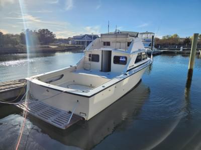 BOATZON | Bertram 28 Flybridge CRUISER 1974
