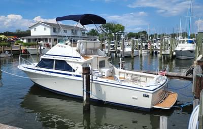 BOATZON | Bertram 28 Flybridge CRUISER 1983