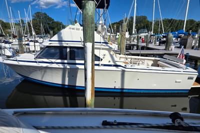 BOATZON | Bertram 28 Flybridge CRUISER 1983