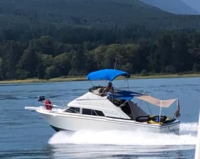 BOATZON | Bertram 30 1984