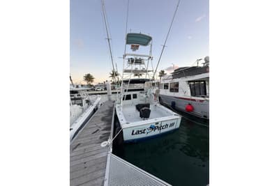 BOATZON | Bertram 31 Sportfisher 1963