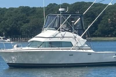 BOATZON | Bertram 33 CONVERTIBLE SPORT FISHERMAN 1998 BOATZON | Bertram 33 CONVERTIBLE SPORT FISHERMAN 1998