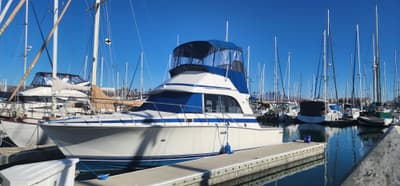 BOATZON | Bertram 33 Flybridge Cruiser 1985 BOATZON | Bertram 33 Flybridge Cruiser 1985