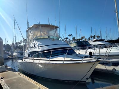 BOATZON | Bertram 33 Sport Fisherman 1983