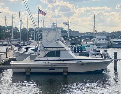 BOATZON | Bertram 35 Convertible 1974 BOATZON | Bertram 35 Convertible 1974