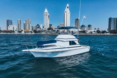 BOATZON | Bertram 35 Convertible 1984