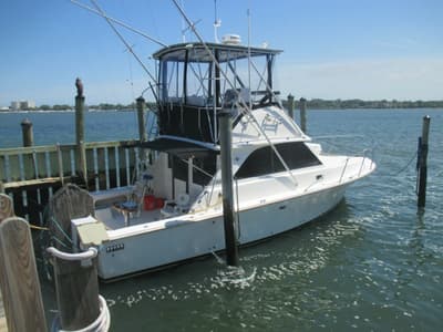 BOATZON | Bertram 35 Convertible 1984 BOATZON | Bertram 35 Convertible 1984