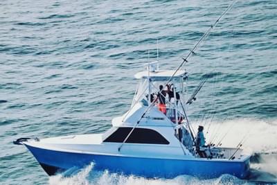 BOATZON | Bertram 35 Flybridge 1979 BOATZON | Bertram 35 Flybridge 1979