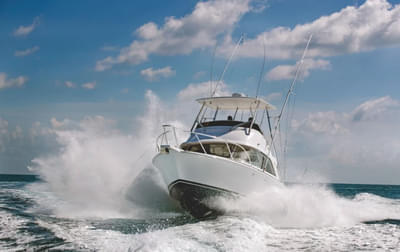 BOATZON | Bertram 35FB 2026