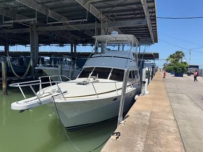 BOATZON | Bertram 38 Convertible 1981