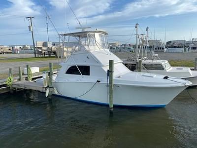 BOATZON | Bertram 38 Convertible 1985 BOATZON | Bertram 38 Convertible 1985