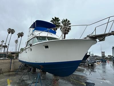 BOATZON | Bertram 38III Convertible 1981 BOATZON | Bertram 38III Convertible 1981