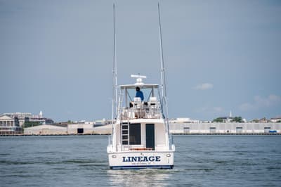 thumbail-icon