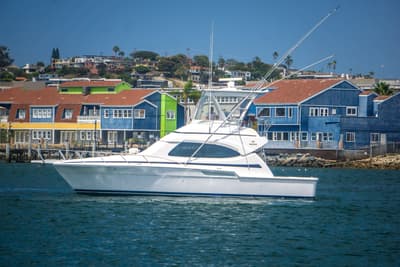 BOATZON | Bertram 390 Convertible 2005