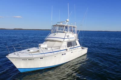 BOATZON | Bertram 42 Convertible 1980