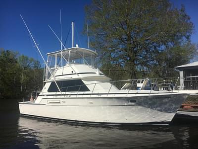 BOATZON | Bertram 42 Convertible 1981