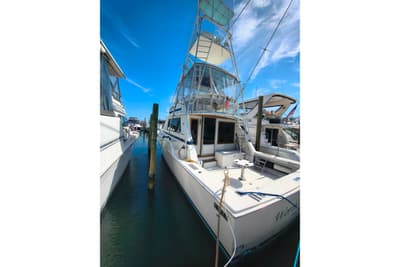 BOATZON | Bertram 42 Convertible 1985 BOATZON | Bertram 42 Convertible 1985