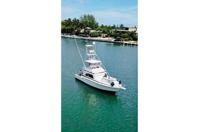 BOATZON | Bertram 43 Convertible 1989