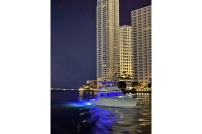 BOATZON | Bertram 46 Convertible 1977