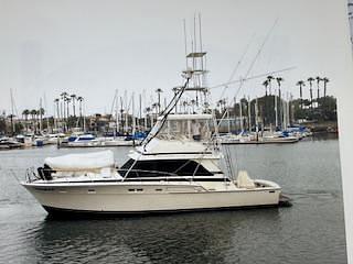 BOATZON | Bertram 46 Convertible 1980