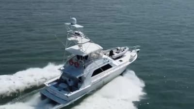 BOATZON | Bertram 50 Convertible 1987