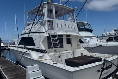 BOATZON | Bertram 50 Convertible 1988