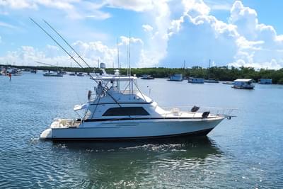 BOATZON | Bertram 50 Convertible 1989