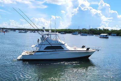 BOATZON | Bertram 50 Convertible 1989
