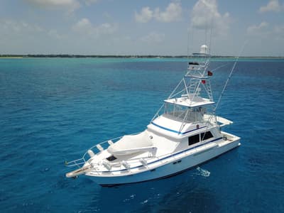 BOATZON | Bertram 54 Convertible 1981