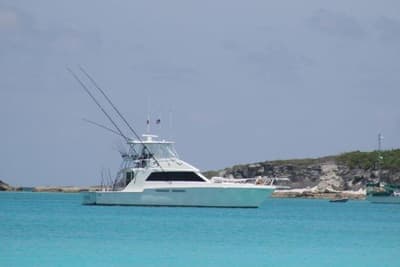 BOATZON | Bertram 54 Convertible 1984