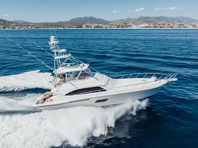 BOATZON | Bertram 64 2013