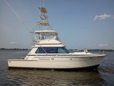 BOATZON | Bertram Convertible 1978