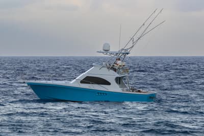 BOATZON | Black Watch 40 2001